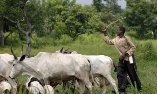 Yobe community leaders proffer solution to farmers-herders conflict