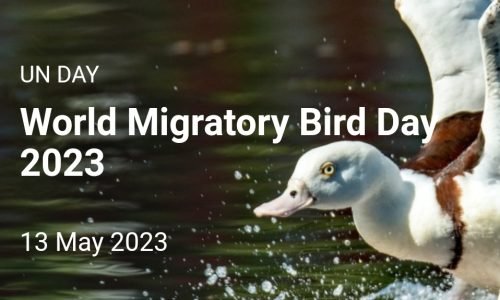 NCF attributes climate change, pollution as threat migratory birds