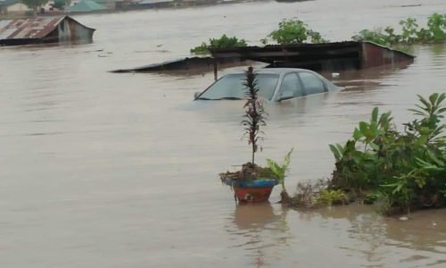 Buni tasks ministry of environment to take measures against flood