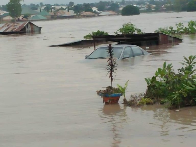 Buni tasks ministry of environment to take measures against flood