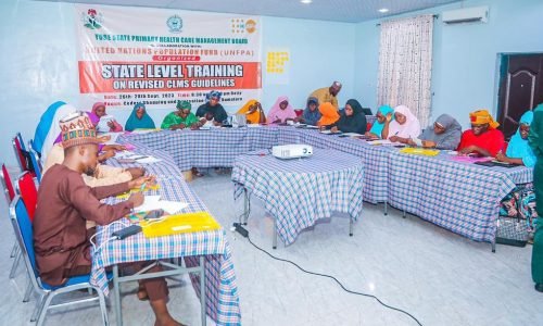 UN, Yobe Govt train women on contraceptive management