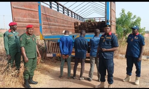 NSCDC impounds truck carrying 450 vandalised railway sleepers in Yobe