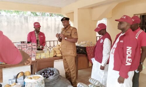 NDLEA Yobe State Command Marks Int’l Day Against Drug Abuse, Illicit Trafficking