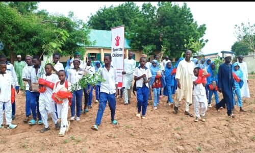 Save the Children Plants 1,000 Trees in Yobe Schools, Communities