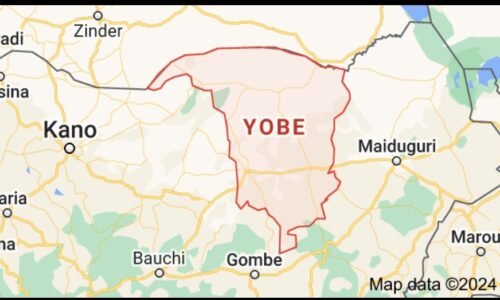 Yobe Govt trains 4,000 newly employed staff for efficiency, service delivery