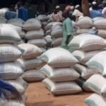 Prices of essential food items continue to drop in Yobe