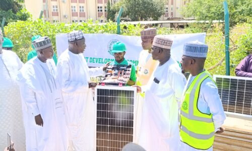 NEDC trains 558 on briquette, charcoal production, solar installation in Yobe 