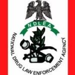 NDLEA arrests 415 suspects, seizes 1.2 tonnes of Illicit drugs in Bauchi