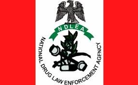 NDLEA arrests 415 suspects, seizes 1.2 tonnes of Illicit drugs in Bauchi