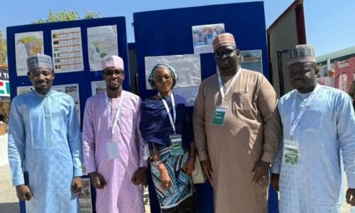 NEYIF Pledges Support for Sustainable Solutions in Lake Chad Basin