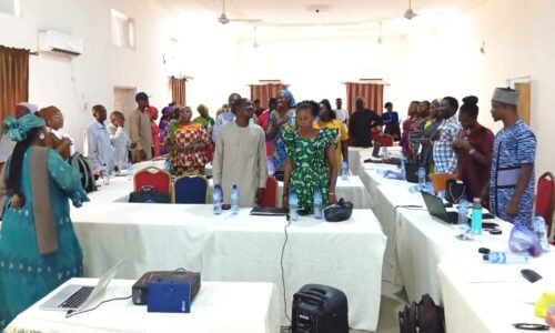 Bauchi agency launches training to boost financial data gathering for VSLAs