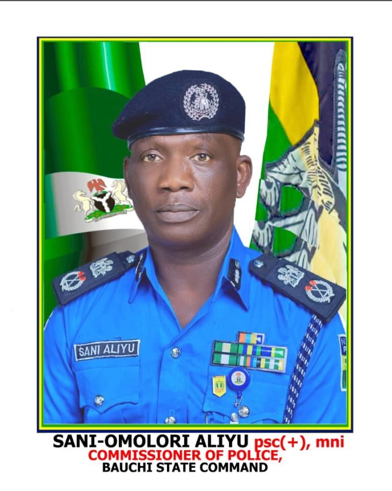 Police arrest man for alleged theft of cow in Bauchi