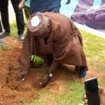 Foundation Plants 3,000 Trees in Darazo to combat desertification, climate change