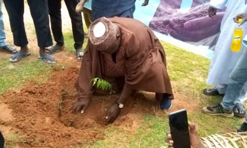 Foundation Plants 3,000 Trees in Darazo to combat desertification, climate change