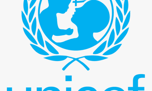 UNICEF, Yobe validate roadmap to end open defecation by 2030