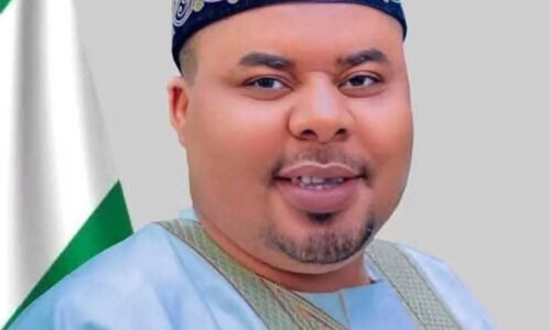 Bauchi commissioner Gabarin honoured with traditional title in France
