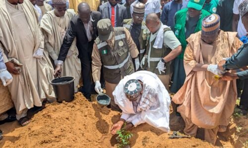 NAGGW Launches Tree Planting Drive in Yobe to Tackle Desertification