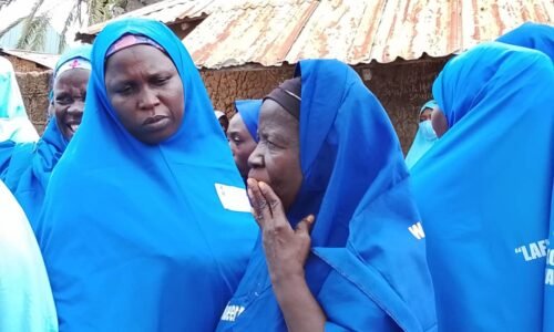 Health volunteers travel 2 hours to promote healthcare in Bauchi
