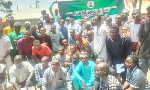 FG trains 300 tractor operators, mechanics to boost food security, modernize agriculture