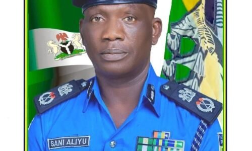 Bauchi Police rescue abducted siblings in Jos, crack down on motorcycle theft syndicate