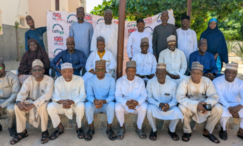 Yobe HCD-DD, Lafiya UK End Workshop with Renewed Focus on Results-Based Governance