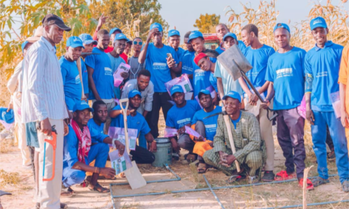 NCF trains 50 farmers on climate-resilient practices in Yobe