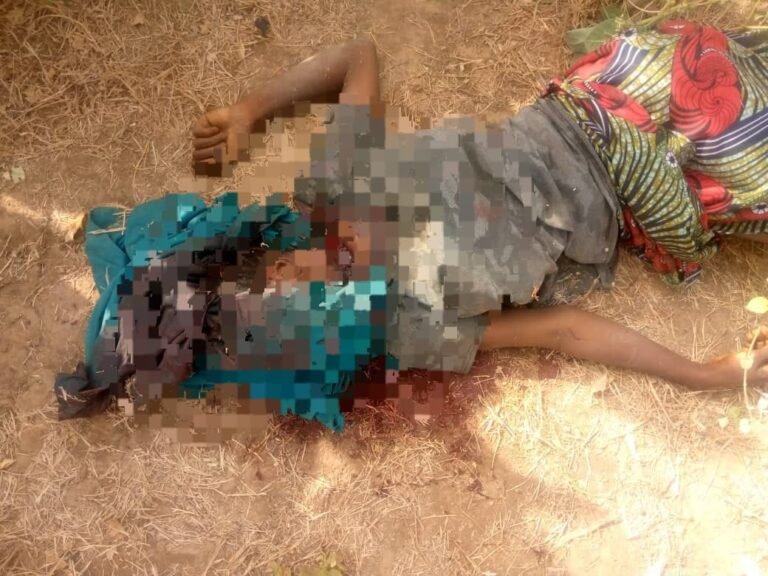 Police Launch Manhunt for Suspects in Brutal Rape, Murder of Teenager in Gashua