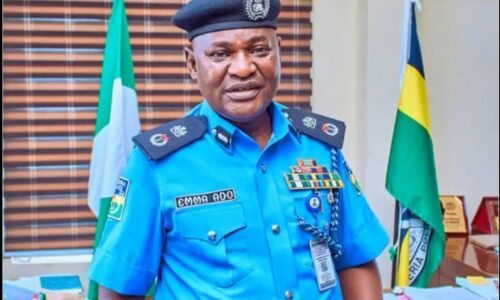 Yobe Police Step Up Action Against Gender-Based Violence, Child Abuse