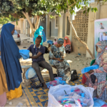 Residents commend smooth ITN distribution in Yobe