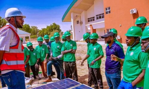 NEDC installs solar streetlights across Yobe to boost security, recovery