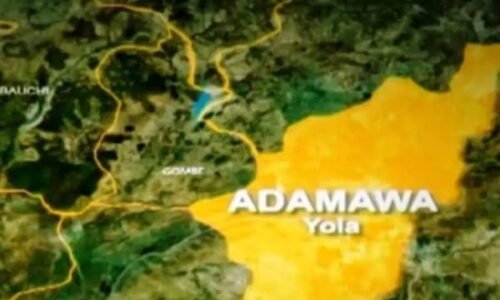 Adamawa begins Teachers recruitment  exercise