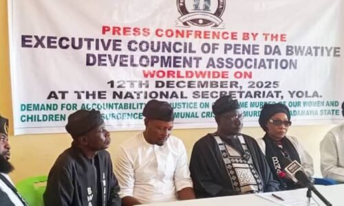 Adamawa Crisis: Association urges Tinubu’s intervention