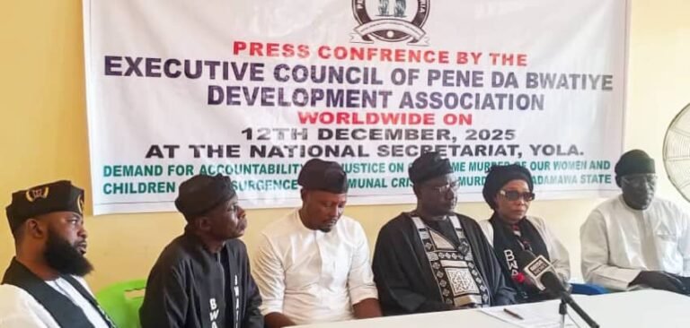 Adamawa Crisis: Association urges Tinubu’s intervention