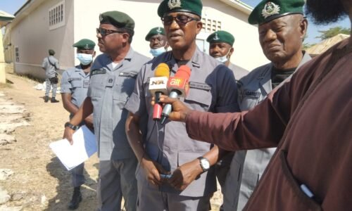 Customs seize 718 donkey skins in Adamawa, arrest 2 suspects
