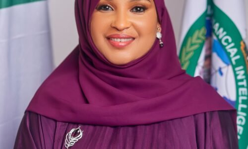 EU Removes Nigeria from High-Risk Financial Crime List