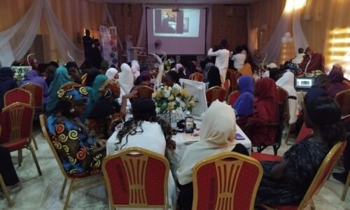 Young female activists rally against GBV in Bauchi, say break silence