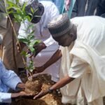 Tree Planting: NGO Sensitises Yobe Communities on Climate Resilience