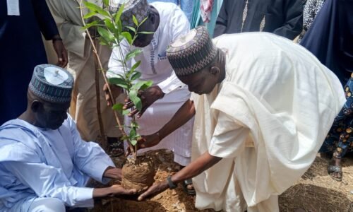 Tree Planting: NGO Sensitises Yobe Communities on Climate Resilience