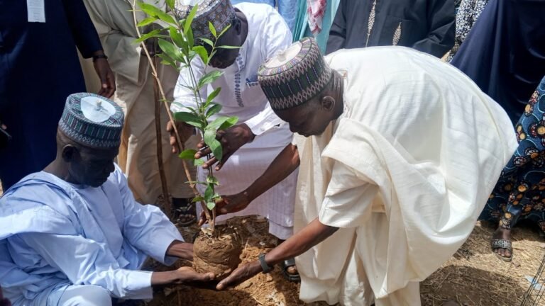 Tree Planting: NGO Sensitises Yobe Communities on Climate Resilience