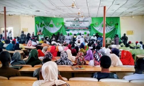 Coalition rallies students against drug abuse in Yobe