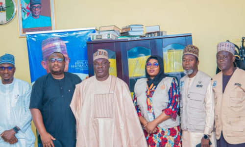 Yobe Govt. partners NGOs to fight substance abuse  Partnership