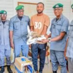 Anti-Trafficking: Customs hands over  5 lives rescues endangered pangolins