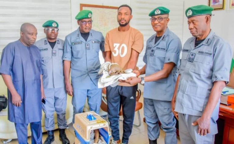 Anti-Trafficking: Customs hands over  5 lives rescues endangered pangolins
