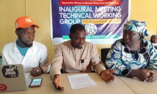 Group empowers 90 Bauchi women in moringa production, seeks policy inclusion support