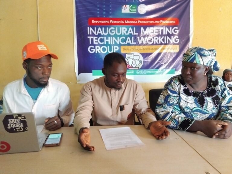 Group empowers 90 Bauchi women in moringa production, seeks policy inclusion support