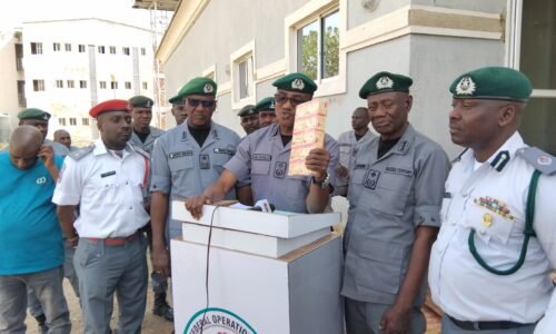 Customs Seize 248,500 Tramadol Tablets Worth  over N273m in Yobe