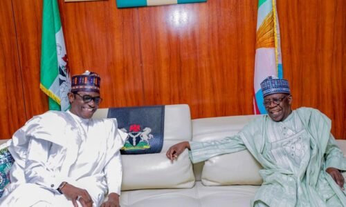 2026 APC Convention: Analyst Reflects on Buni’s Role in Party Growth