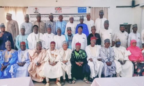 NOA urges parents to embrace e-birth registration in Yobe Registration