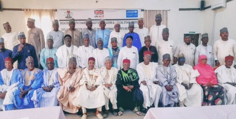 NOA urges parents to embrace e-birth registration in Yobe Registration