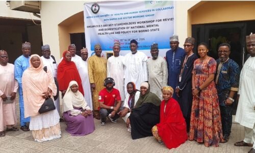 Stakeholders push domestication of mental health law in Borno
